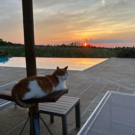 Agriturismo La Rinaldina Faenza Eksteriør bilde