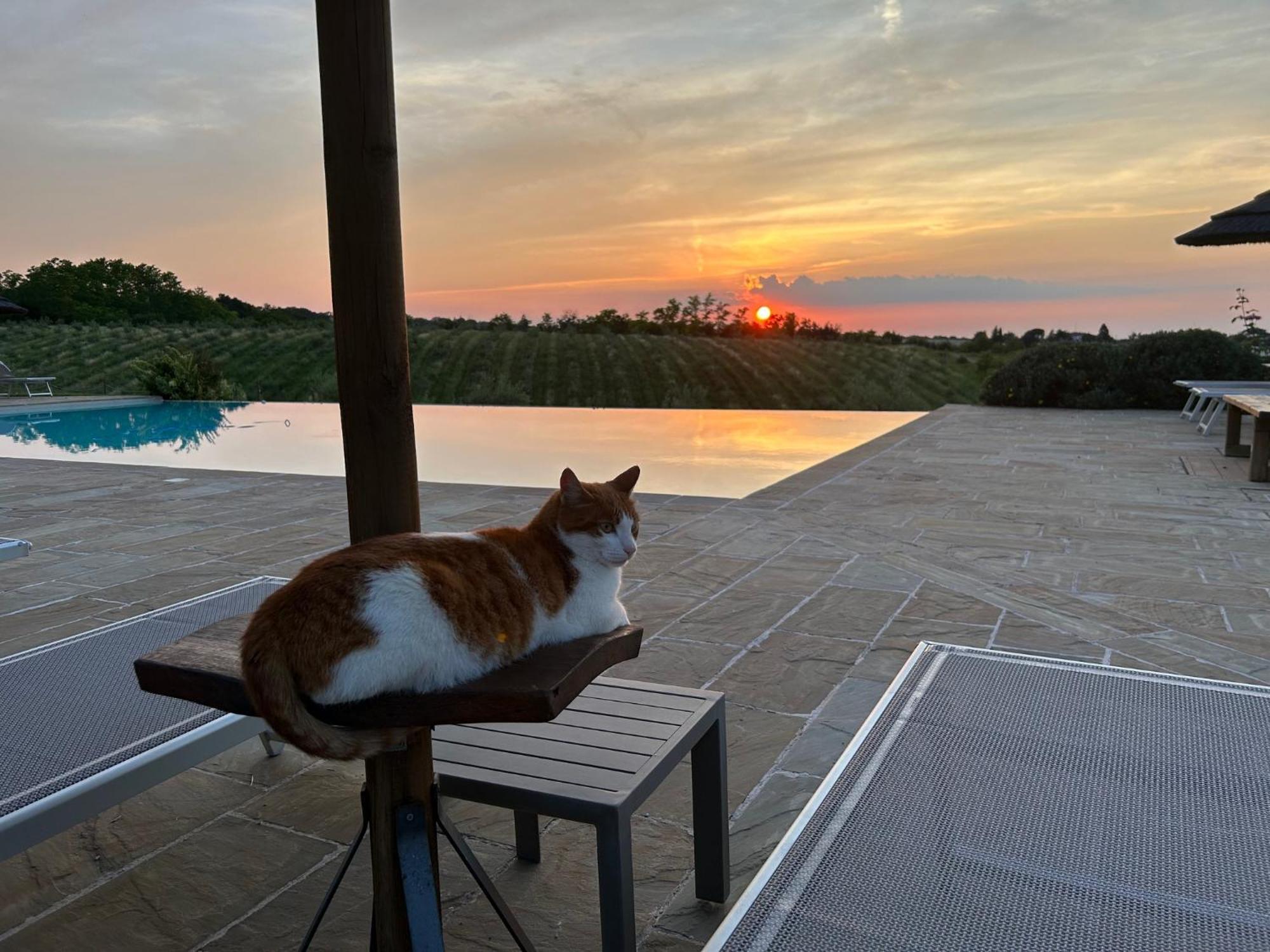 Agriturismo La Rinaldina Faenza Eksteriør bilde