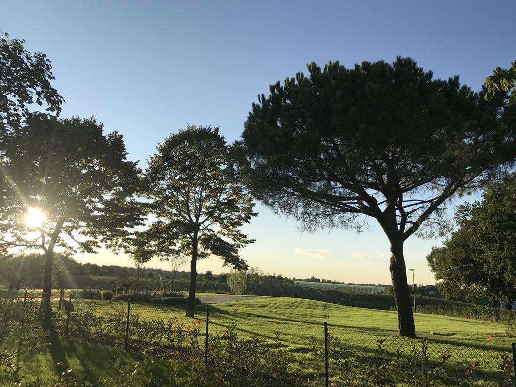 Agriturismo La Rinaldina Faenza Eksteriør bilde