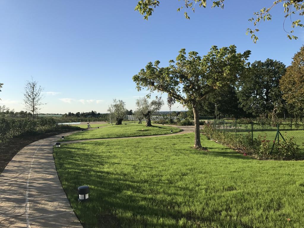 Agriturismo La Rinaldina Faenza Eksteriør bilde