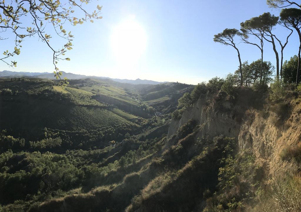 Agriturismo La Rinaldina Faenza Eksteriør bilde