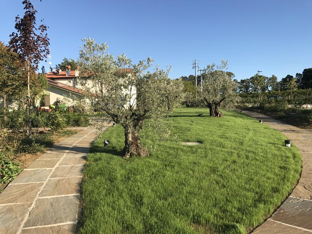 Agriturismo La Rinaldina Faenza Eksteriør bilde