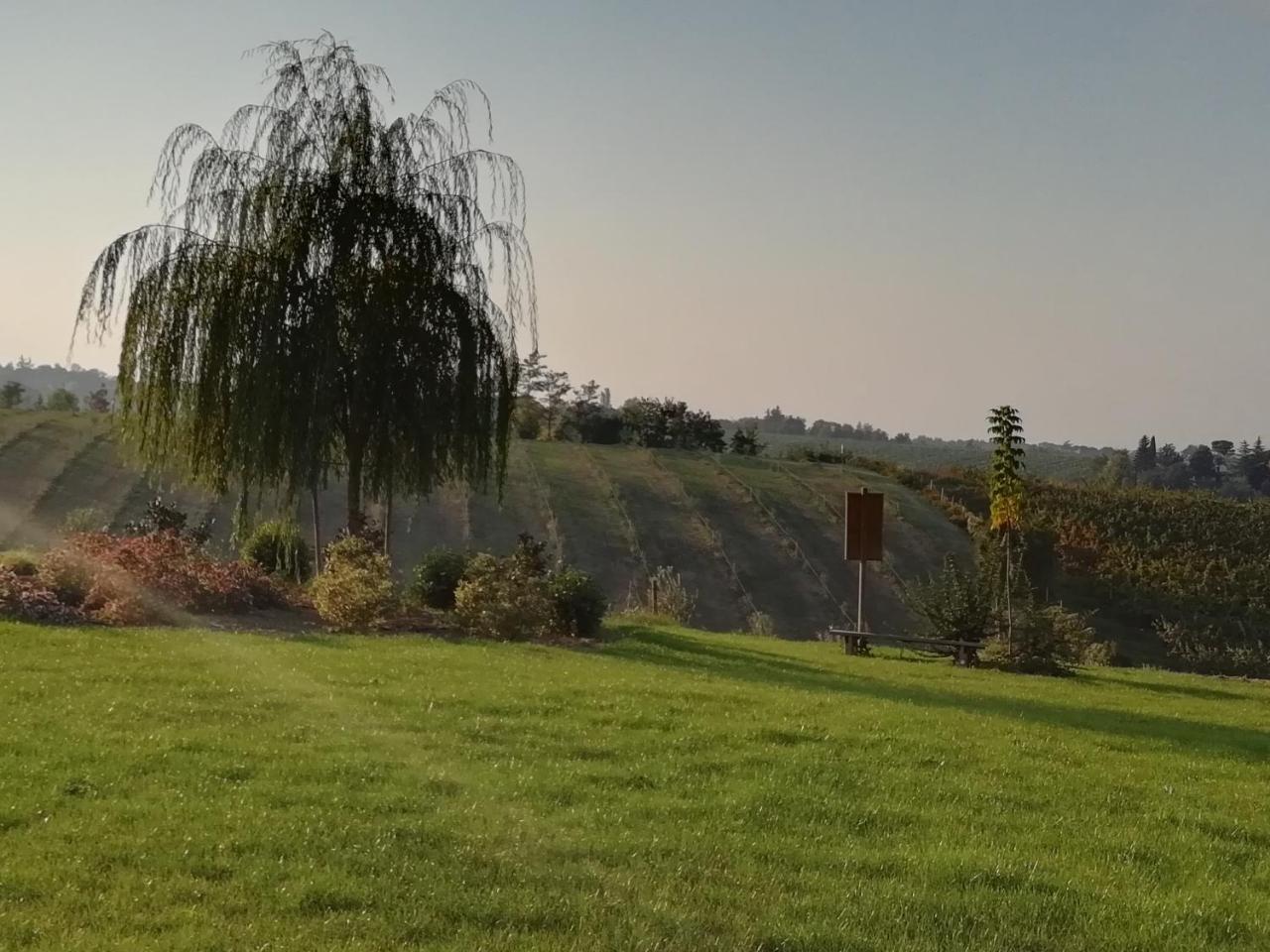 Agriturismo La Rinaldina Faenza Eksteriør bilde