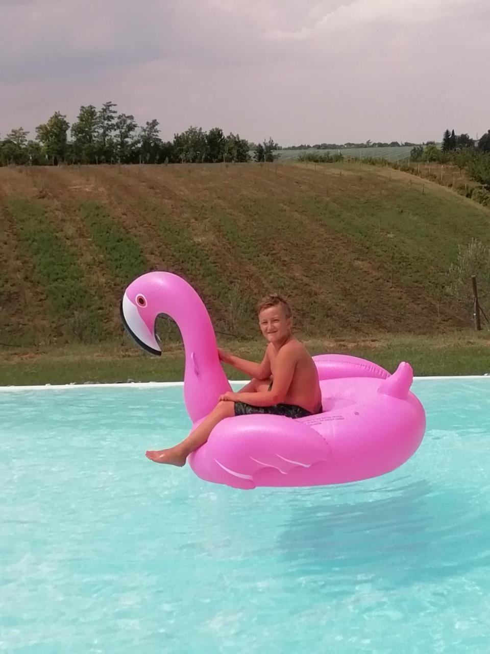 Agriturismo La Rinaldina Faenza Eksteriør bilde